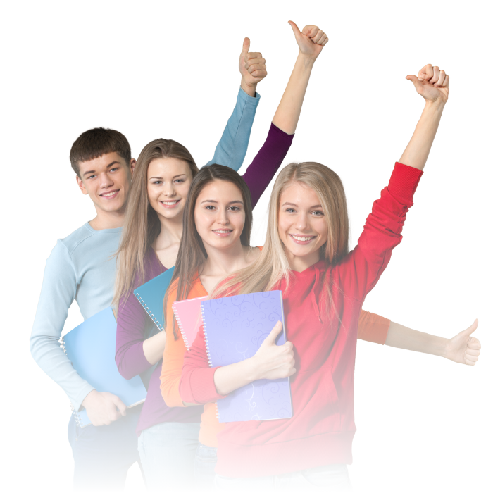 Verticale Diplomarsi online